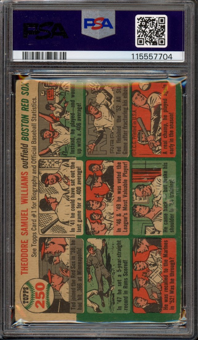 1954 Topps Ted Williams #250 back